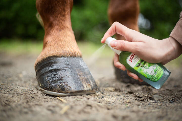 ZEDAN Hufpflege Spray 100 ml